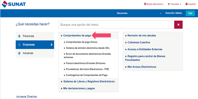 SUNAT — menú Empresas, Comprobantes de pago