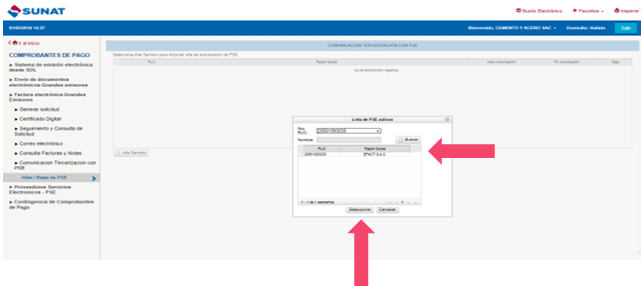 SUNAT — Buscar Efact y Seleccionar
